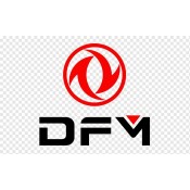 DONGFENG (1)
