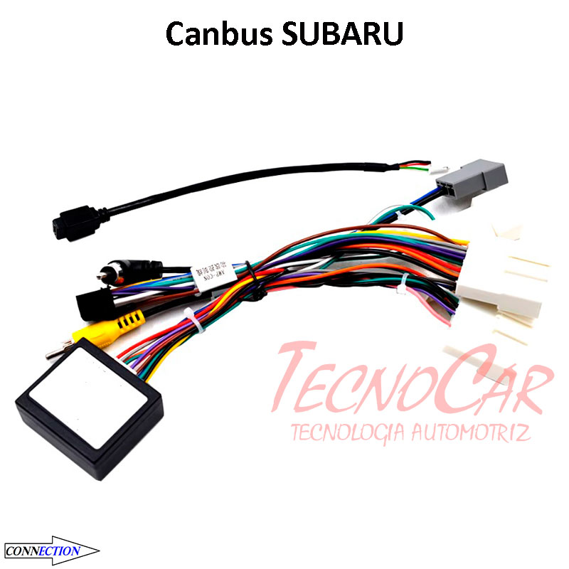 CANBUS SUBARU